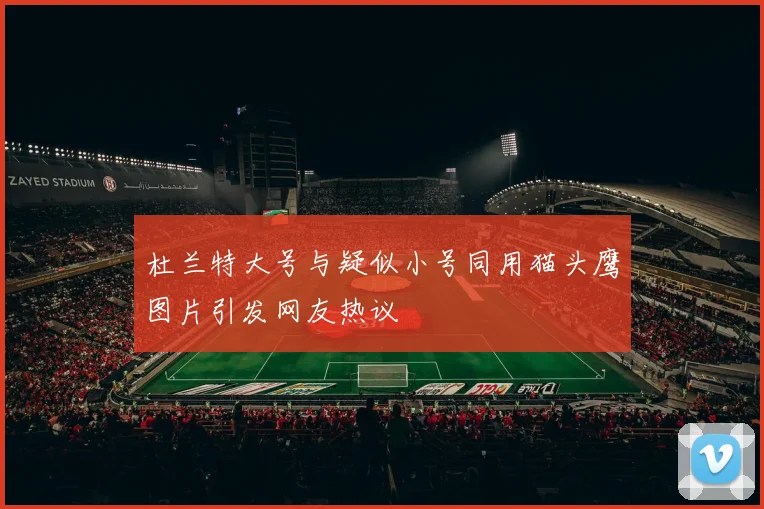 杜兰特大号与疑似小号同用猫头鹰图片引发网友热议