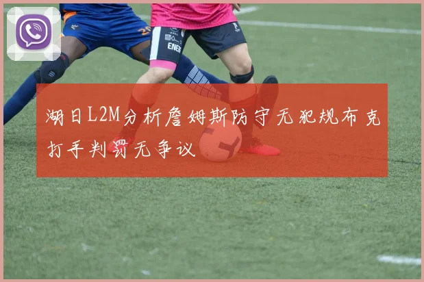 湖日L2M分析詹姆斯防守无犯规布克打手判罚无争议